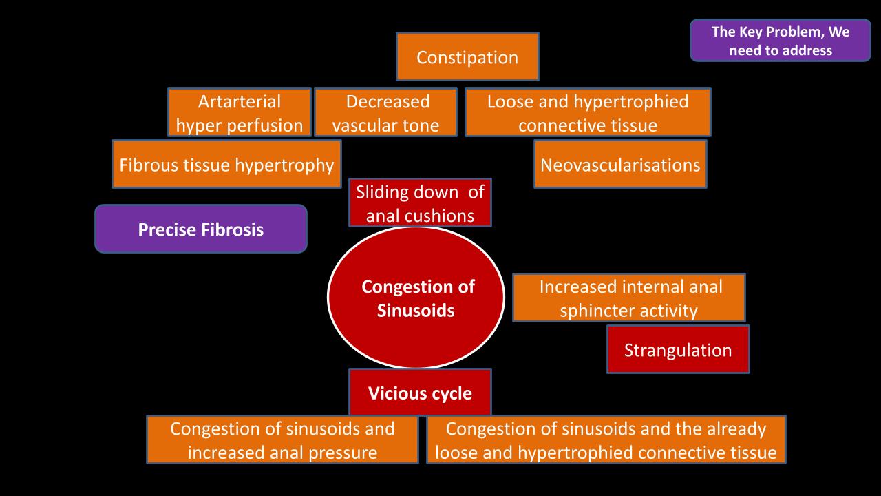 10 Precerving Anatomy
